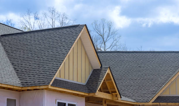 Best Roof Moss and Algae Removal  in Walhalla, SC