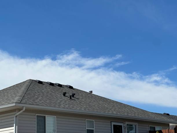 Best Metal Roofing Installation  in Walhalla, SC